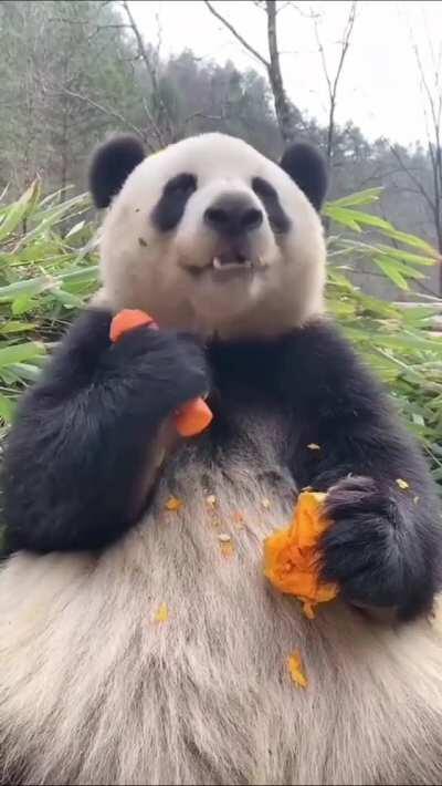 This lad is 70% belly