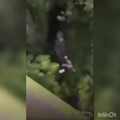 No te deveria dar risa pero