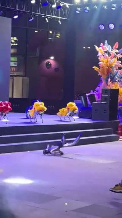 Robot fails to climb up stairs