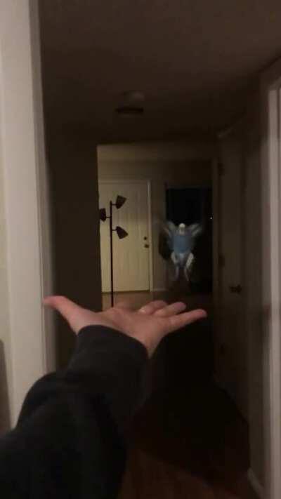 No matter where in the house I go, Oliver always wants to come along