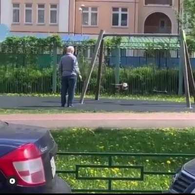 Russian kitty loves to swing