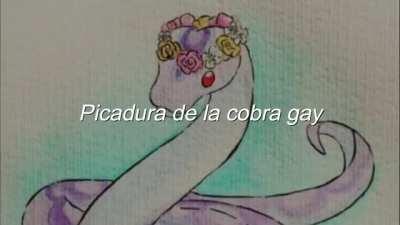 picadura da cobra adm 😨