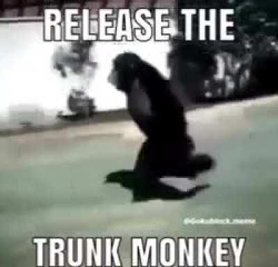 trunk monkey