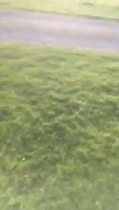 Lad films the bouquet throw at the wedding and his girlfriend catches it