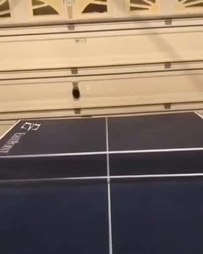 Ping Pong