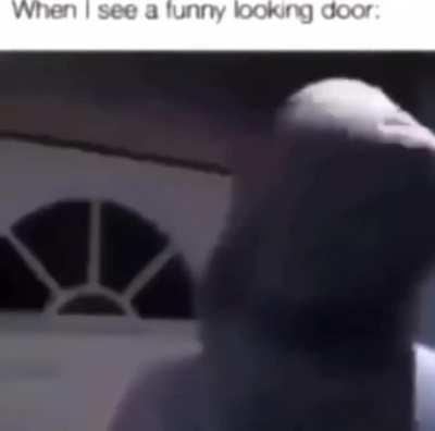 Silly ass door 🤺
