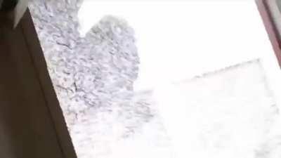 Segundo vídeo desse jogo chamado Wolf Girl With You, e não bane meu vídeo dnv.....