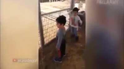 como hace la cabra agustin XD