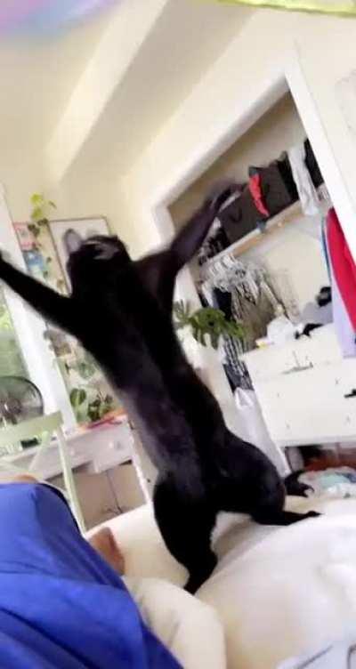 Дорого пятничного утра, саб! Ламбада, блеать:))