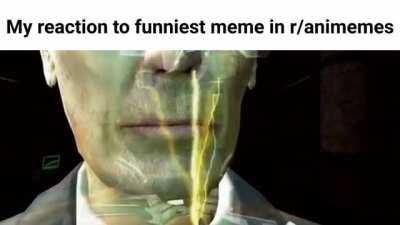 animemes, animememes, goodanimemes