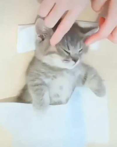 Bu nedir ya çok tatlı 😍