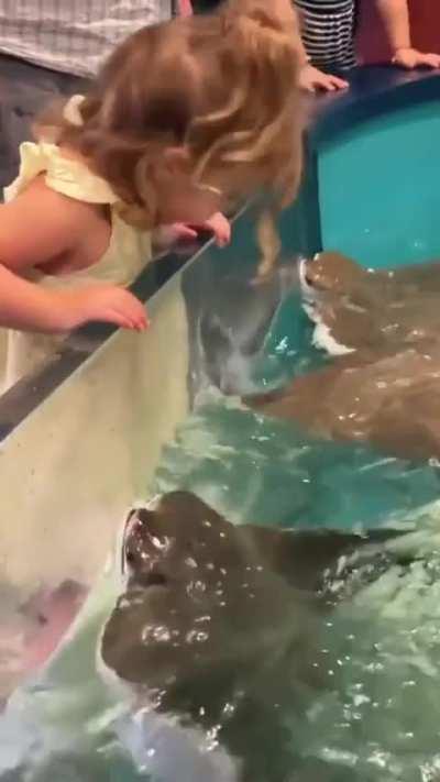 All hearts feel love!