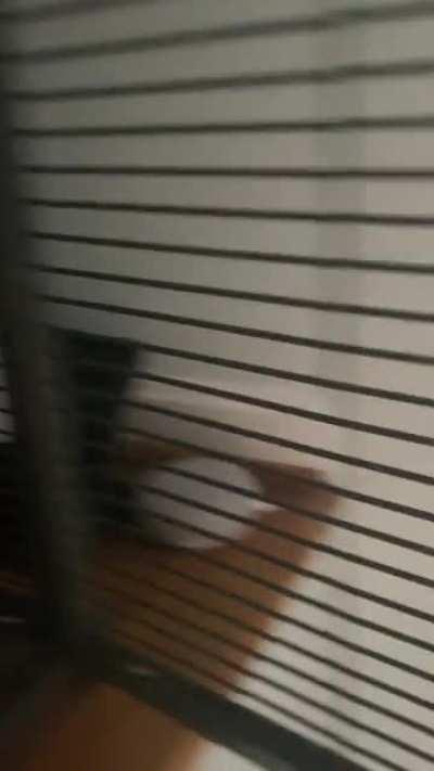 My rat bit me hard enough to draw blood. What do I do? They’ve been here a week, they’re pet store rats(yeah, I know) and the other two haven’t don’t this.