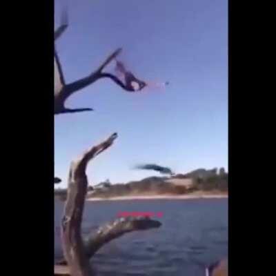 One, two, three! And there goes his ribs.