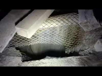 Throwing a piece of metal down a 1,000+ ft. deep bore hole in abandoned mine.