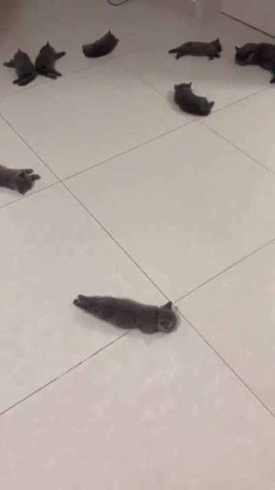 Best possible sales video for heated flooring