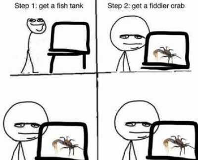 Rule (also what’s the name of the song)