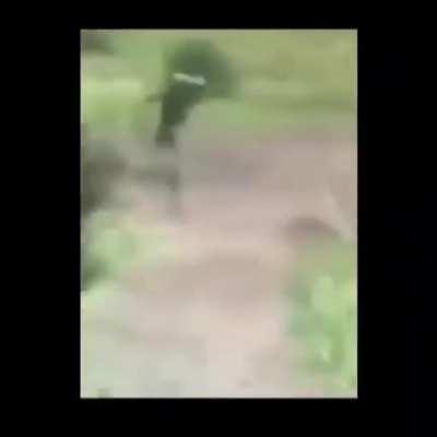 ⚠️ *IMAGENS FORTES* ⚠️