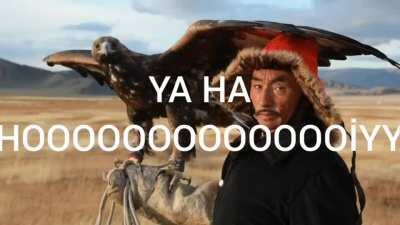 some nights you need the music some nights you need the lyrics the lyrics: