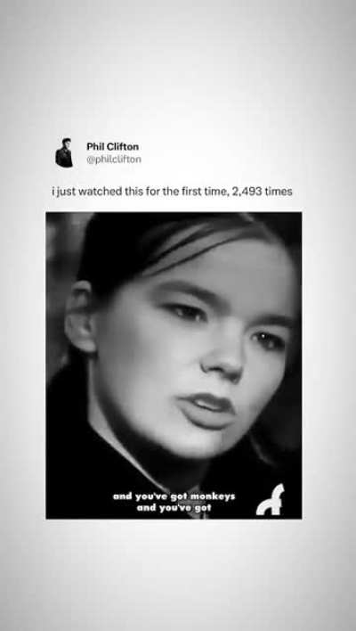 It's confirm, they are animals 