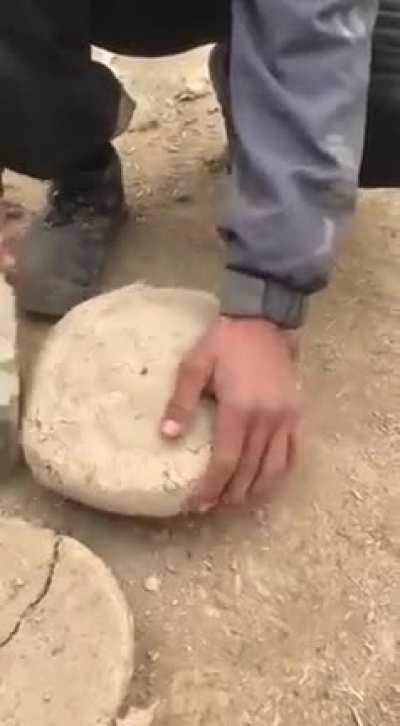 The way that these 6 month old grapes are preserved, still fresh. This practice it known as kangina, and it originated in the north of Afghanistan. It has been passed down for centuries.