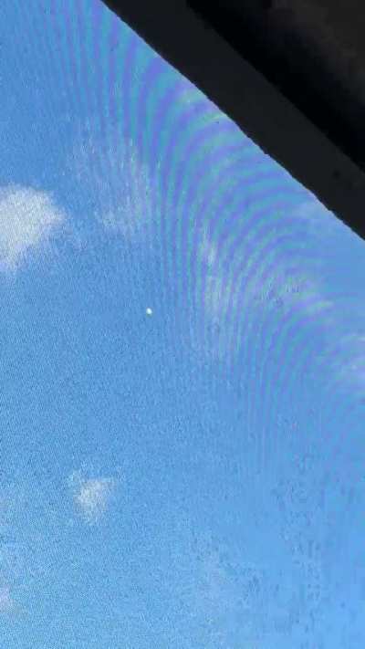 Saw this today on my patio. What do you guys think it is?