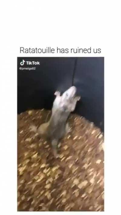 Idek why I find this funny