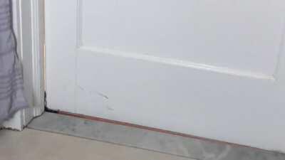 Privacy? What’s that?!