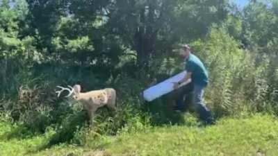 Coworker and I went on an expedition in the Ancient Forest