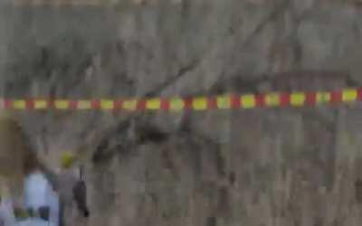 Never would have expected that