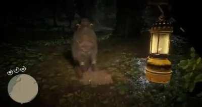 Never going into the swamps again.