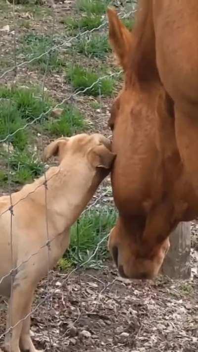 Bonding between best friends.