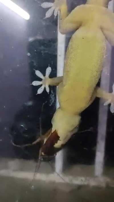 Dɪɴɴᴇʀ 🍽️ Tɪᴍᴇ 🤤