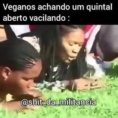 Dizem defender os animais mais comem a comida deles 😔✊