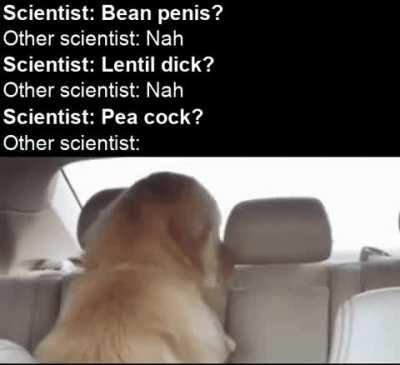 A weird name for sure