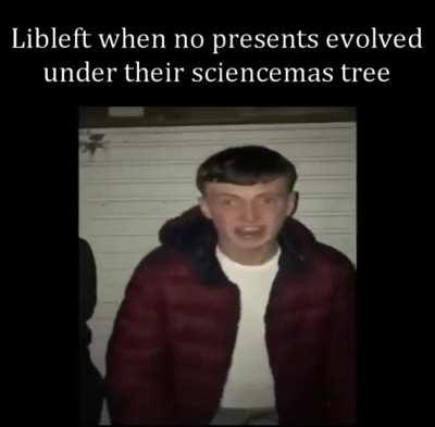 Political Compass Christmas