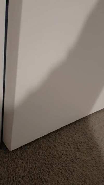 It's late. You hear a scratching noise at the door..