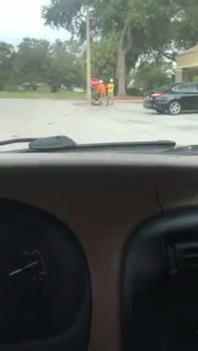 Florida in a nutshell.