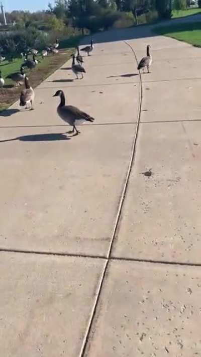 I suggest a nuclear option