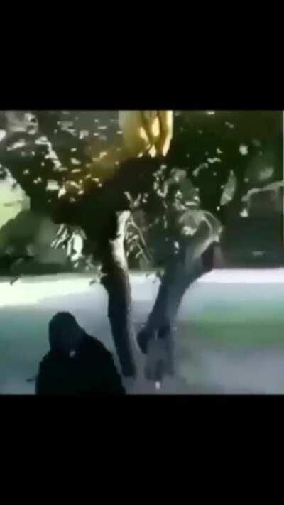 Monki dikkat et arkanda