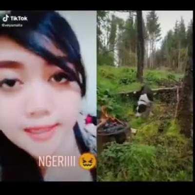 Video Reaction: Cara Memasak Ayam