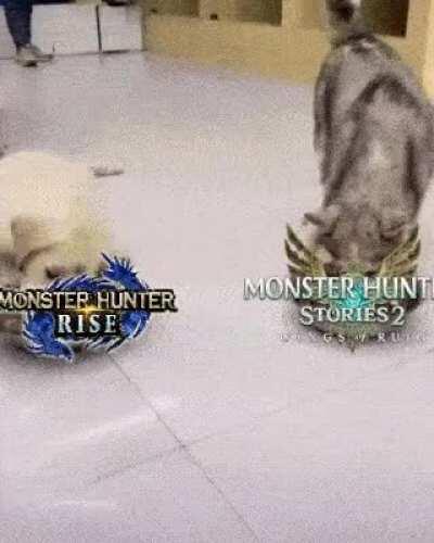 who here be that doggo?