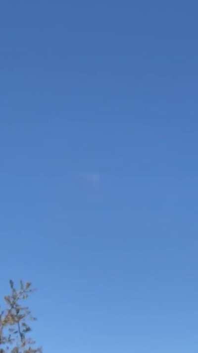 Need help identifying what this is - west of San Antonio