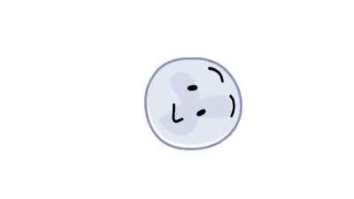 (Repost) So who did you vote for the BFDIA 20 host