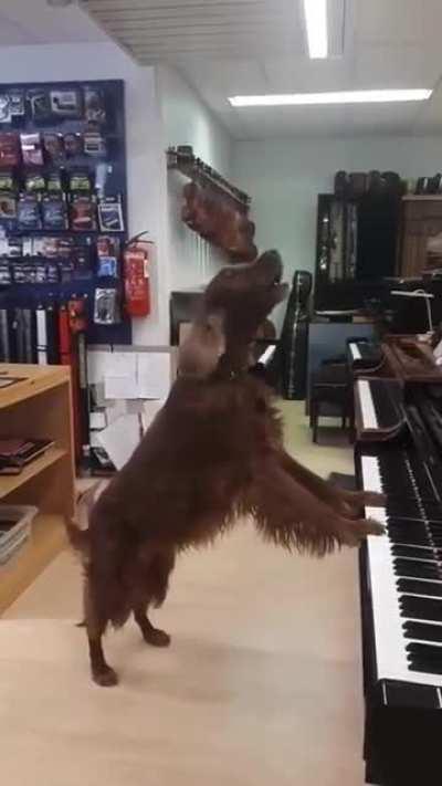 Let's play the music!