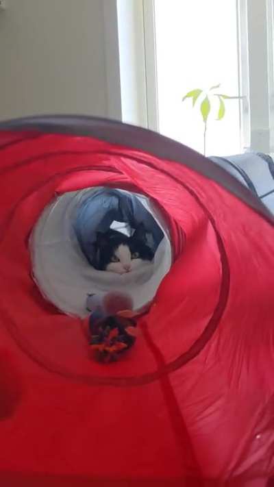 Cleaning the floor. The Sif finds a way.