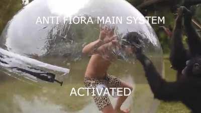 Fiorabros we got too cocky...