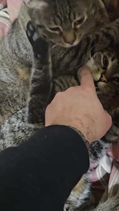 I was concerned for a brief second 