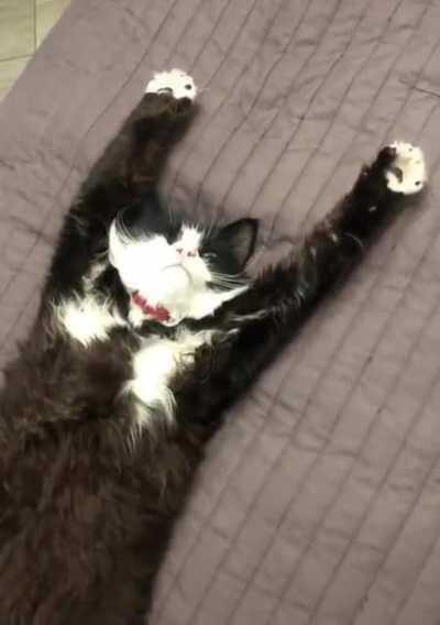 Time for another good nap.