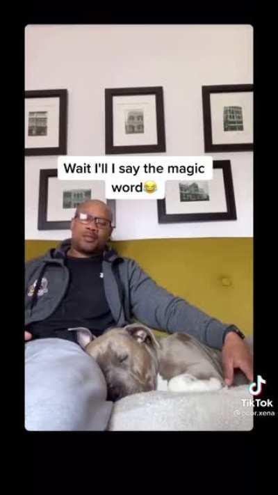 Man demonstrates how his dog is classically conditioned